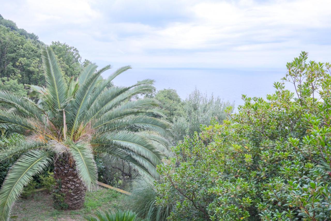 Villa Gio - Terrazza Nel Blu Bergeggi Exterior foto